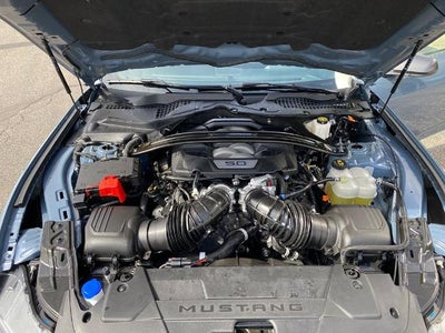 2024 Ford Mustang Dark Horse