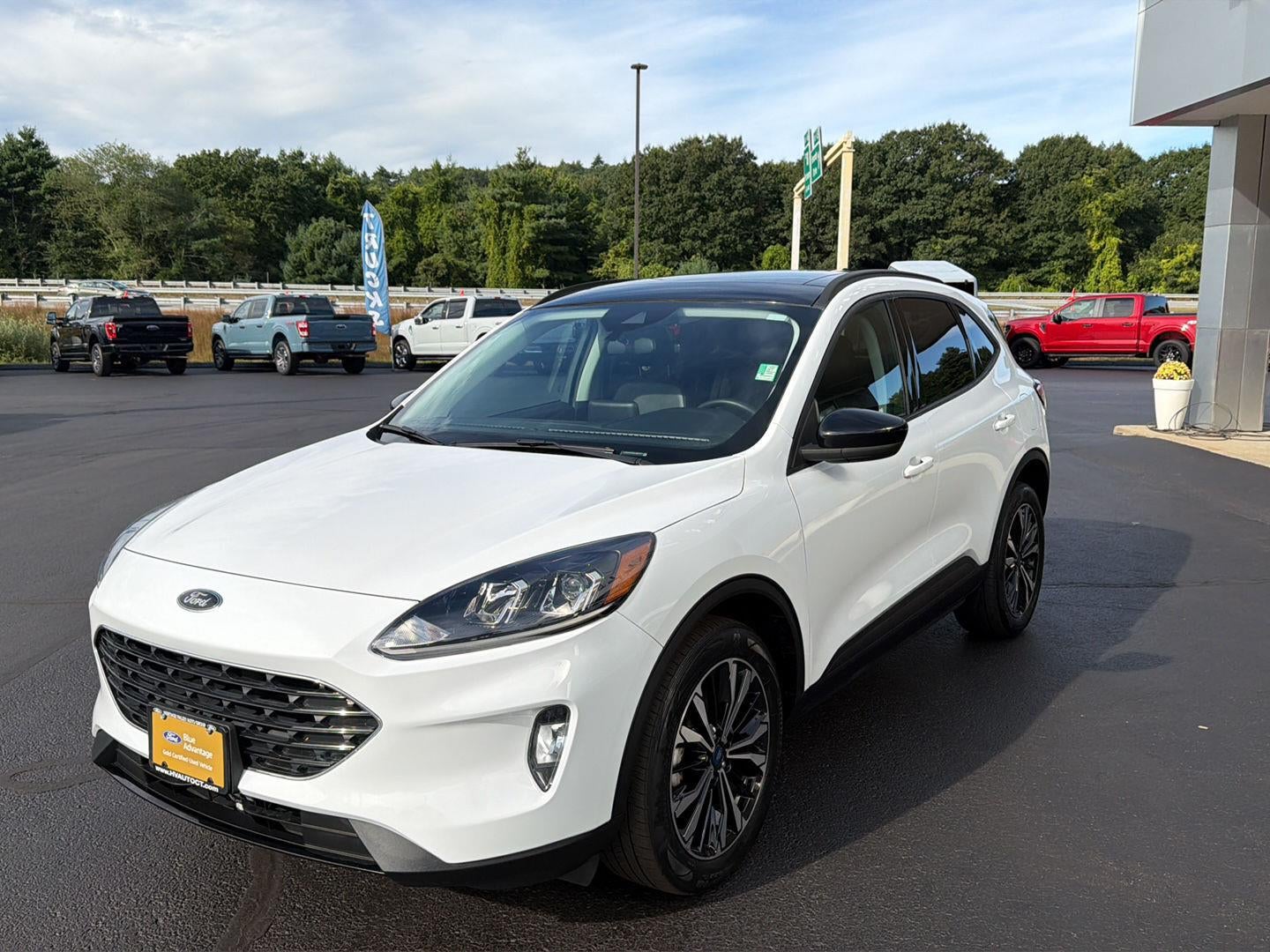 2022 Ford Escape SEL