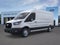 2026 Ford Transit 250