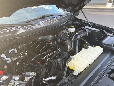 2024 Ford F-150 XL