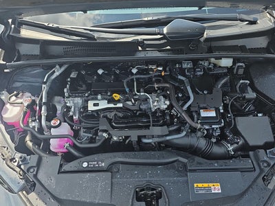 2025 Toyota Prius XLE