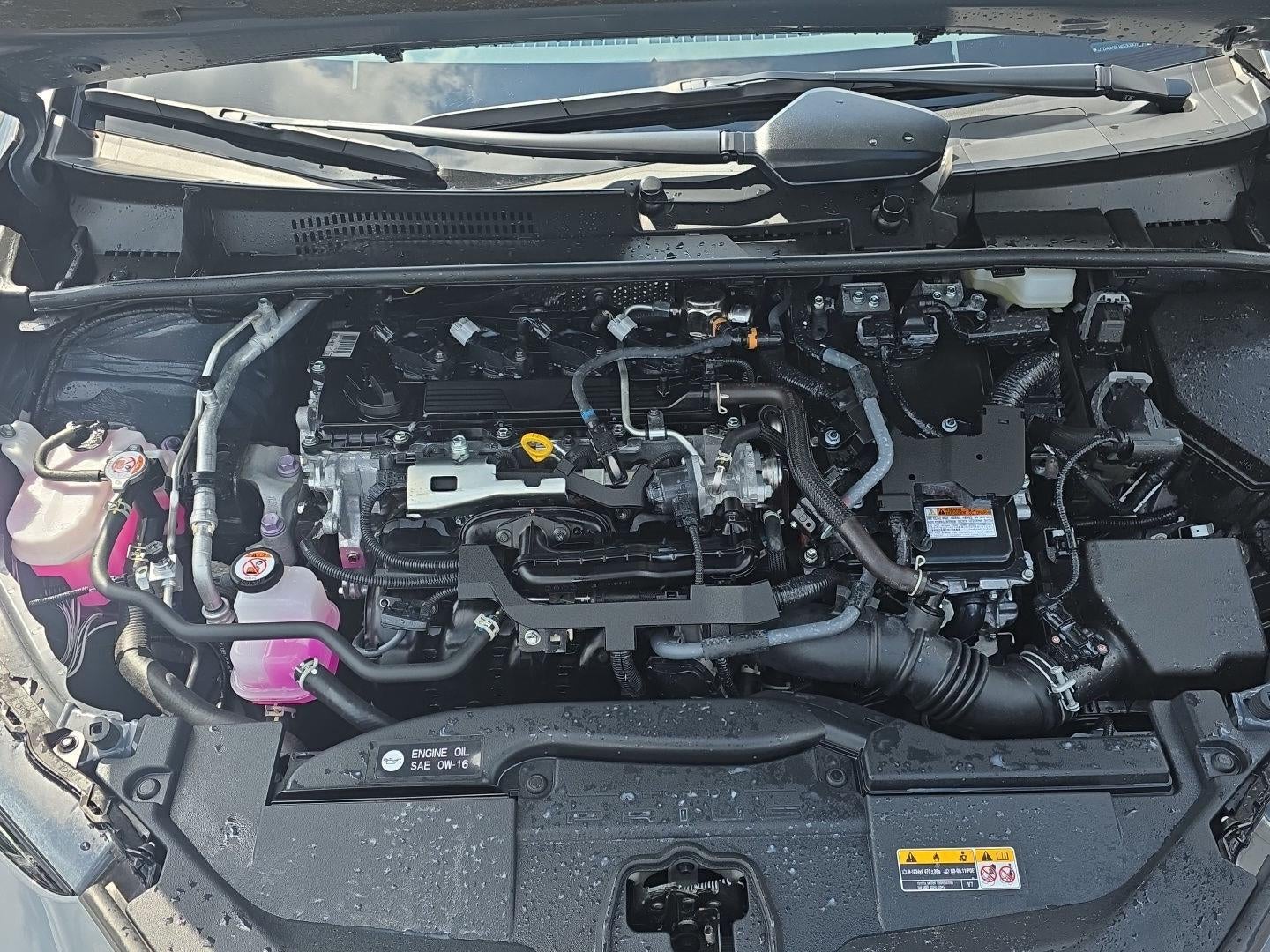 2025 Toyota Prius XLE