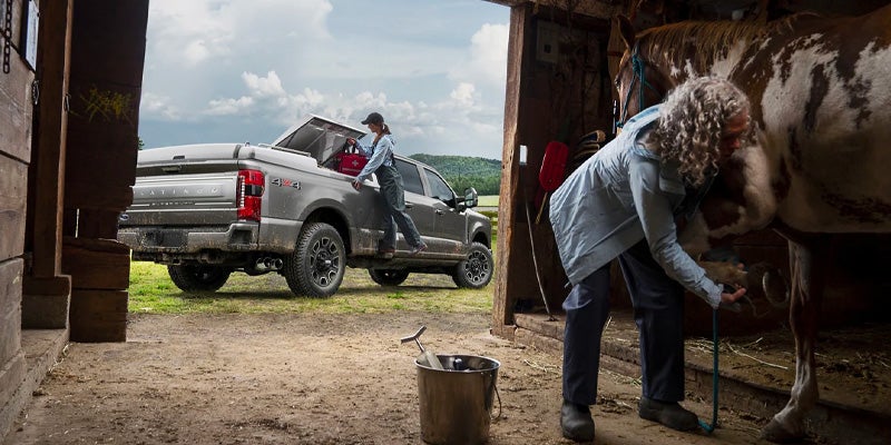 A person tending to a horse's hoof in a barn; another person loads a red box into an open truck bed outside.