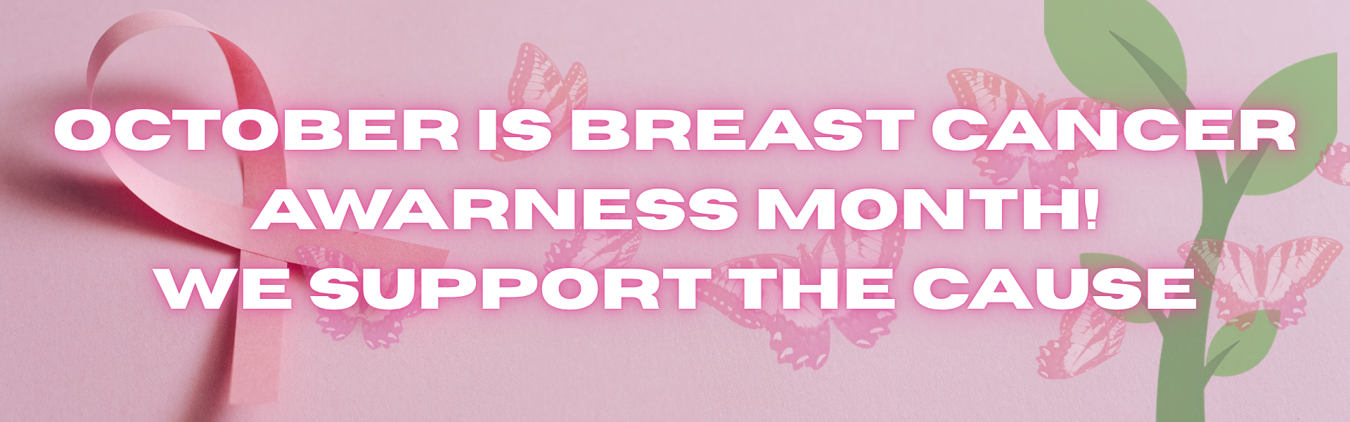 BCA support the cause banner Oct. 2026